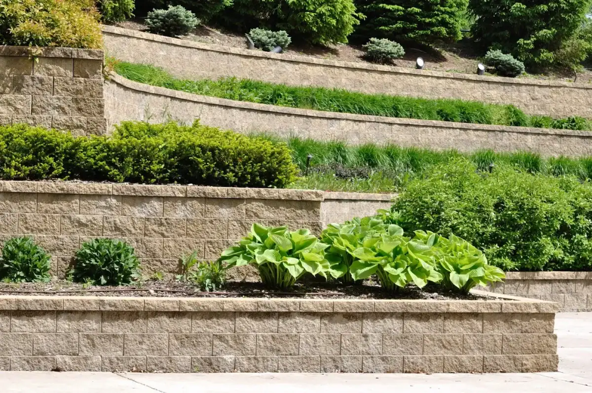 A tiered retaining wall featuring a Hardscape Design with rows of green shrubs and plants at different levels, surrounded by neatly landscaped greenery and concrete borders.