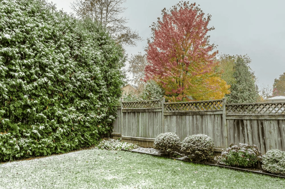 How to Prepare Your Yard for Wisconsin Winter