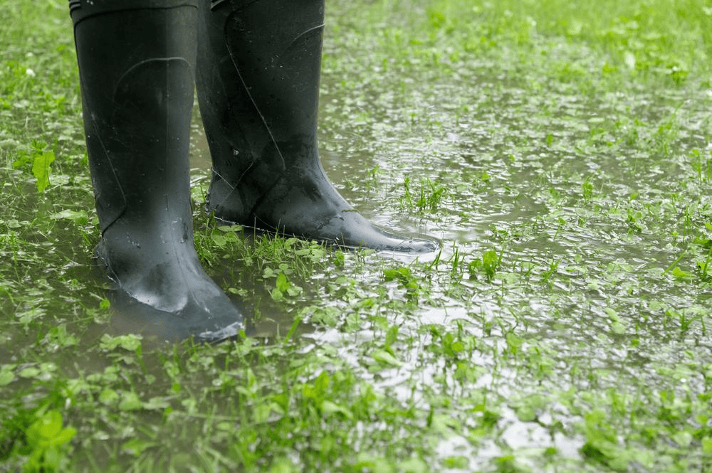 Standing Water in Your Yard Causes & Fixes in Black River Falls